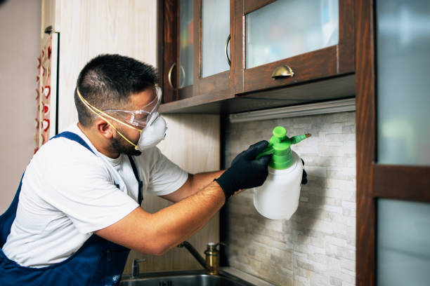 Best Wildlife Control Services  in Greentown, IN