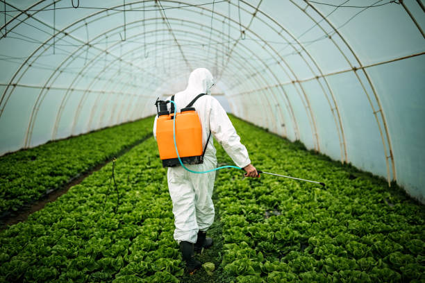 Best Pest Removal Services  in Greentown, IN