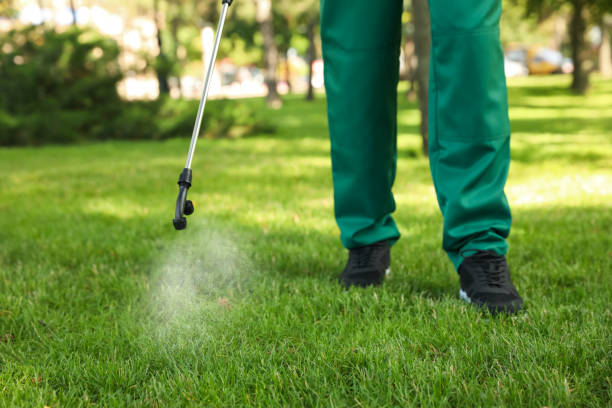 Best Local Pest Control Services  in Greentown, IN