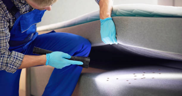 Best Pest Control Cost  in Greentown, IN