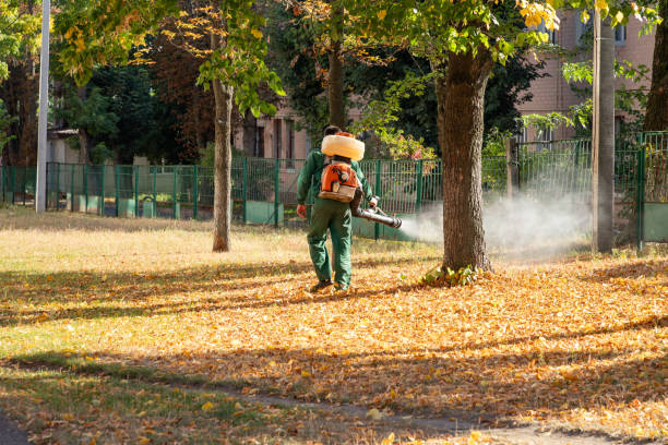 Best Emergency Pest Control  in Greentown, IN