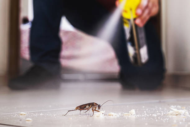 Professional Pest Control in Greentown, IN
