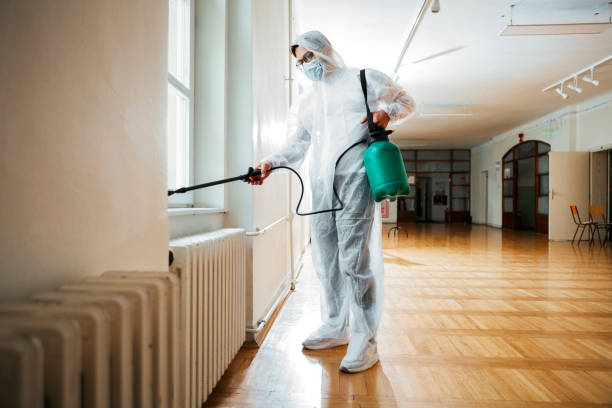 Best Exterminator Services  in Greentown, IN