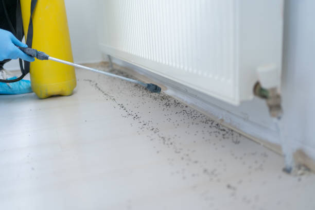 Best Mosquito Control Services  in Greentown, IN