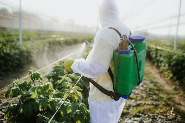 Best Pest Control Near Me  in Greentown, IN
